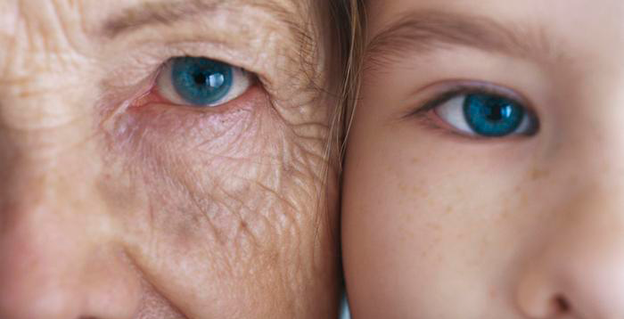 LONGEVIDAD: Rejuvenece tu fascia